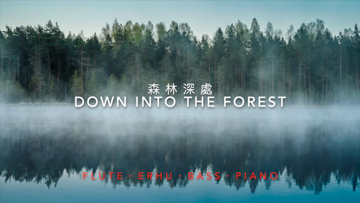 Featured image for “Down into the Forest”
